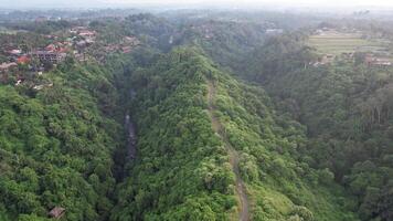 antenn campuhan bergsrygg promenad ubud bali - frodig, naturskön känd för dess vandring spår och sotning kulle visningar video