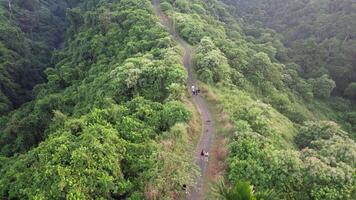 bali, Indonesien, 2023 - antenn campuhan bergsrygg promenad ubud bali - frodig, naturskön känd för dess vandring spår och sotning kulle visningar video