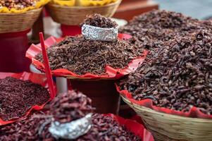 frito saltamontes a un mercado en Oaxaca, mexico foto