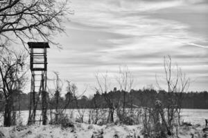 Winter landscape with trees at the edge of a snow-covered field with a raised hide photo