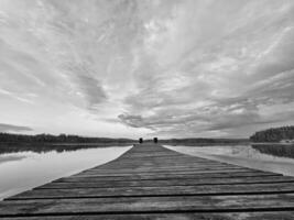 de madera embarcadero sobresaliendo dentro un sueco lago en negro y blanco. naturaleza fotografía foto