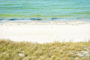 On the beach at Zingst. Dunes with dune grass in front of white sand and Baltic Sea photo
