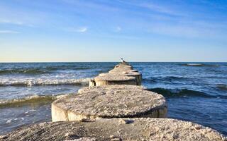 Groynes jut out into the Baltic Sea. Wooden trunks to protect the coast. Landscape photo