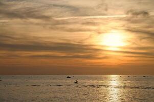 Sunset, illuminated sea. Sandy beach in the foreground. Light waves. Baltic Sea photo