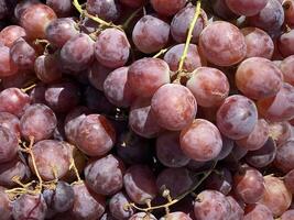 pile of ripe and fresh sweet purple grapes. photo