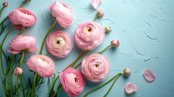 AI generated Serene Pink Ranunculus on Textured Blue Background photo