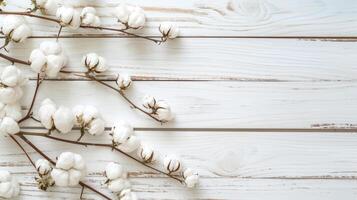 AI generated Cotton Bolls on Rustic White Wooden Background photo