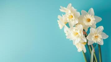 AI generated Fresh White Daffodils on Blue Background photo