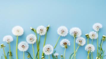 AI generated Airy Dandelion Field on Blue A Spring Day's Dream photo