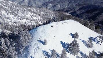 aérien drone vue de Montagne de pointe entouré par congelé des arbres. Montagne paysage sur une ensoleillé hiver journée. video