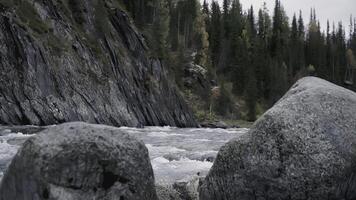 The river runs through the forest. CLIP. Trees grow on both banks of the river. Autumn landscape with a river bank and fir trees photo