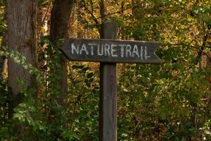 This trail marker has been paced at the beginning of the path. It is put here to make the entrance so hikers could find their way. The brown signage posted with white letters stating the title. photo