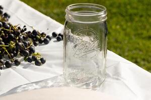 I love the look of these concord grapes spread out on the table with a white background. The deep purple orbs all over. The Ball jar out reminds you of canning or preserving your food. photo