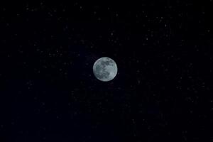 Night sky and the moon. photo