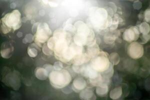 Abstract bokeh background with light. photo