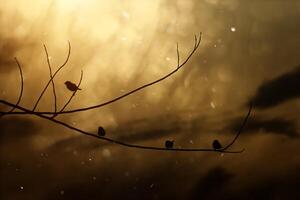 Black silhouette of a bird on a branch photo