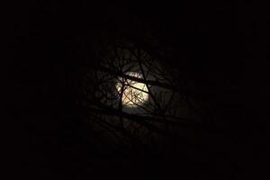 noche cielo y el Luna. foto