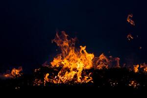 fire grass spring photo