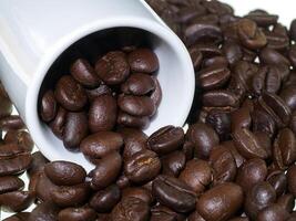 roasted coffee beans. photo