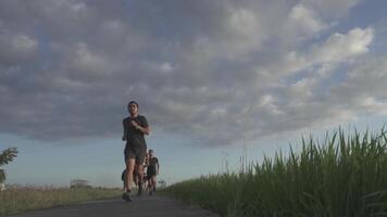 tre friska aktiva asiatisk indonesiska män löpning i långsam rörelse på skön utomhus- natur grön gräs ris fält joggning Spår under solnedgång - bali indonesien video