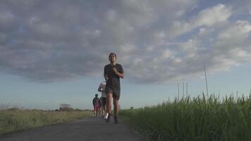 três saudável ativo ásia indonésio homens corrida dentro lento movimento em lindo ao ar livre natureza verde Relva arroz campo corrida rastrear durante pôr do sol - bali Indonésia video