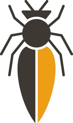 glyph two color icon