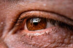 Brown eye with eyelash and hazel iris with a reflection of light photo