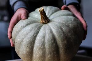 Beautiful green pumpkin ready to be cooked for a healthy diet photo