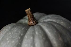 Beautiful green pumpkin ready to be cooked for a healthy diet photo