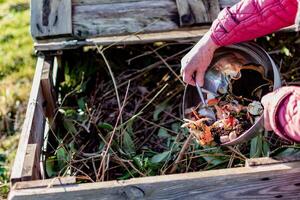 Person who put in a composter some kitchen waste like vegetables, fruits, eggshell, coffee grounds in order to sort and make bio fertilizer photo