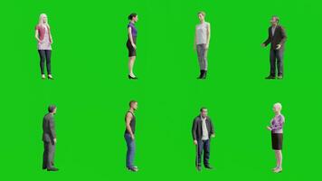 Group of 3D Character Standing and Talking on Green Screen video