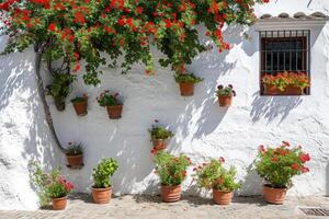 AI generated Typical architecture of spanish colonial houses in historic city center photo