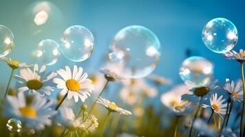 AI generated Spring motive light background and wallpaper with chamomiles, soap bubbles and bokeh, neural network generated photorealistic image photo