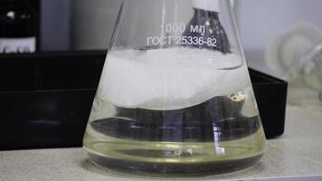 Laboratory glass Erlenmeyer conical flask filled with chemical white liquid for a chemistry experiment in a science research lab photo