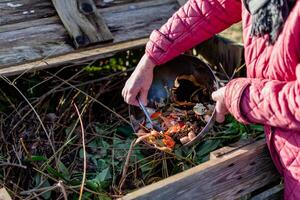 Person who put in a composter some kitchen waste like vegetables, fruits, eggshell, coffee grounds in order to sort and make bio fertilizer photo