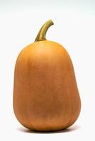 Butternut, healthy squash on white background, cucurbita moschata photo