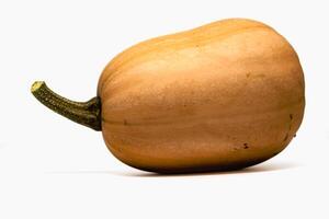 Butternut, healthy squash on white background, cucurbita moschata photo