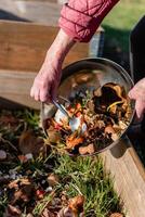 Person who put in a composter some kitchen waste like vegetables, fruits, eggshell, coffee grounds in order to sort and make bio fertilizer photo