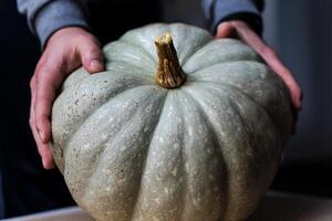 Beautiful green pumpkin ready to be cooked for a healthy diet photo