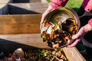 Person who put in a composter some kitchen waste like vegetables, fruits, eggshell, coffee grounds in order to sort and make bio fertilizer photo