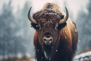 AI generated bull standing in the snow weather bokeh style background with Generative AI photo