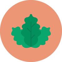 Cabbage Flat Circle Icon vector