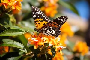 ai generado amarillo mariposa sentado en verde planta hojas bokeh estilo antecedentes con generado ai foto