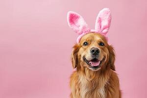 AI generated a dog wearing a bunny headband with generative ai photo