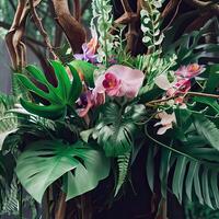 Dark green leaves monstera or split leaf philodendron. photo