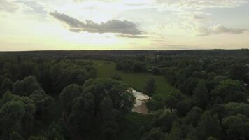 dentro a campo às pôr do sol, aéreo Visão video