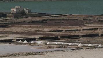 sal trabalho área. Salinas de Janúbio dentro lanzarote, canário ilhas video