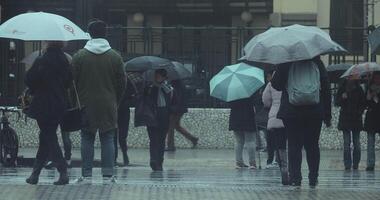 pesado lluvia en el otoño ciudad video