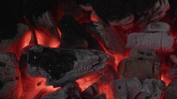 queimando carvão a intenso exibição do calor e luz video