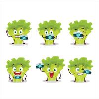 fotógrafo profesión emoticon con lechuga dibujos animados personaje vector